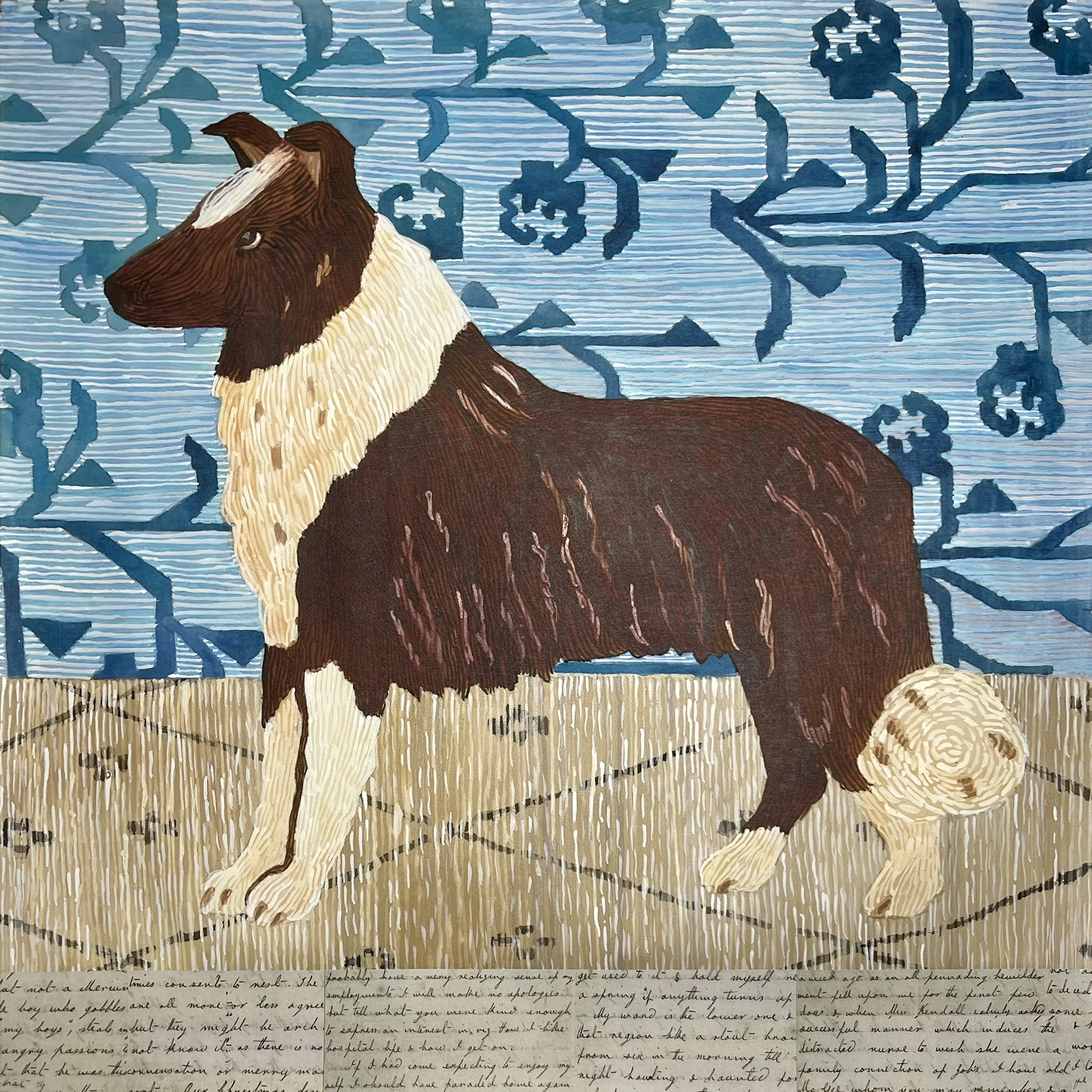 Alcott's Collie, 2025