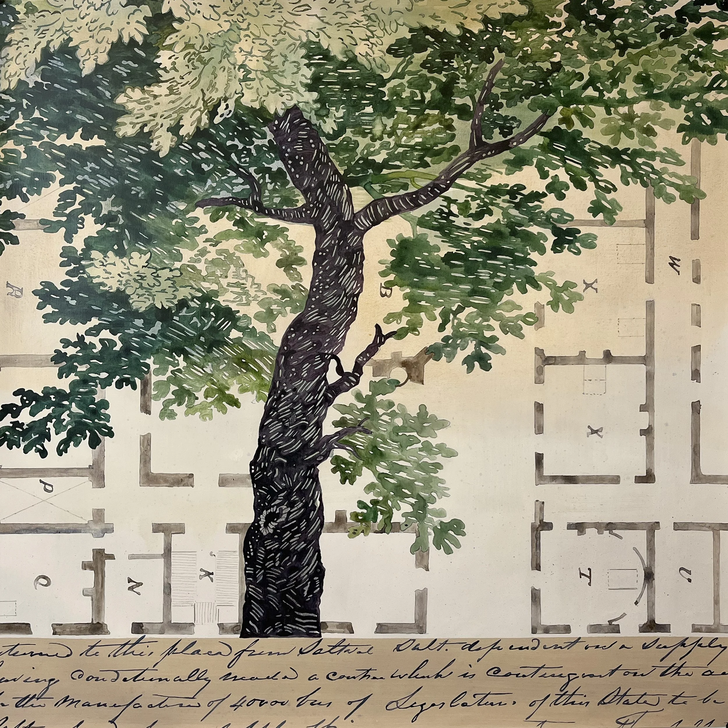 An American Narrative IV, 2026