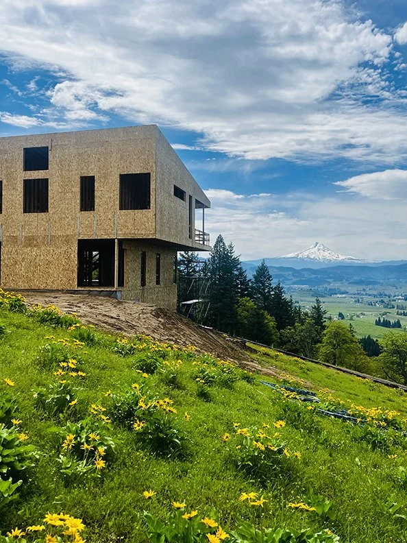 Under Construction: View from rear yard