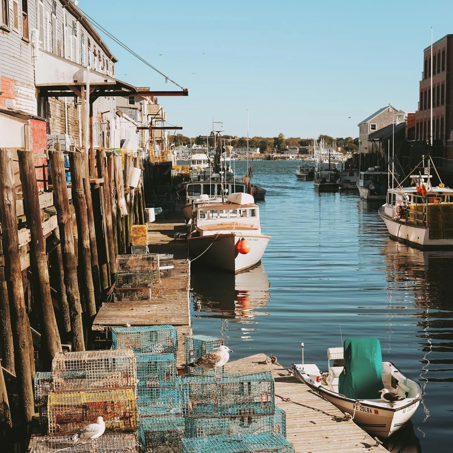 &ldquo;I was trying to put a calculation on how much time I did spend on the water. Fifty per cent, sixty? I don&rsquo;t know. I&rsquo;m just happy to be a lobsterman.&rdquo; Peter Pray, owner and operator of the @ladycatherinelobster, Casco Bay who features in our latest article on Food Tourism destinations, which we are publishing to celebrate #SustainableGastronomyDay.  See link in bio. 

Photo credit: Matt McNulty 

#foodtourism #food #localfood #cascobay #casco #portland #pier #portlandmaine #portlandfood #portlandfoodies #docks #dockside #docking #lobsterman #maine