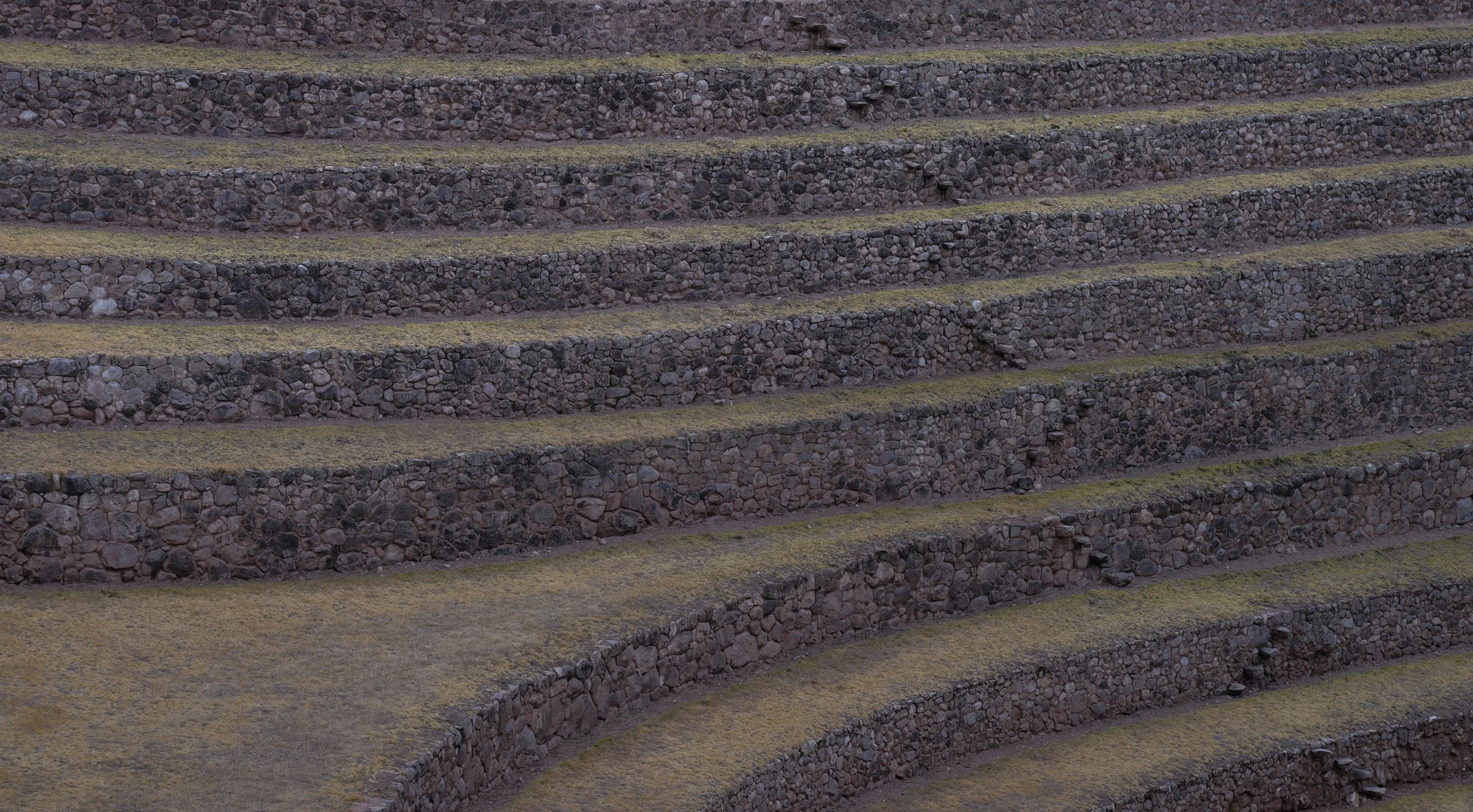 DSC04880.jpg