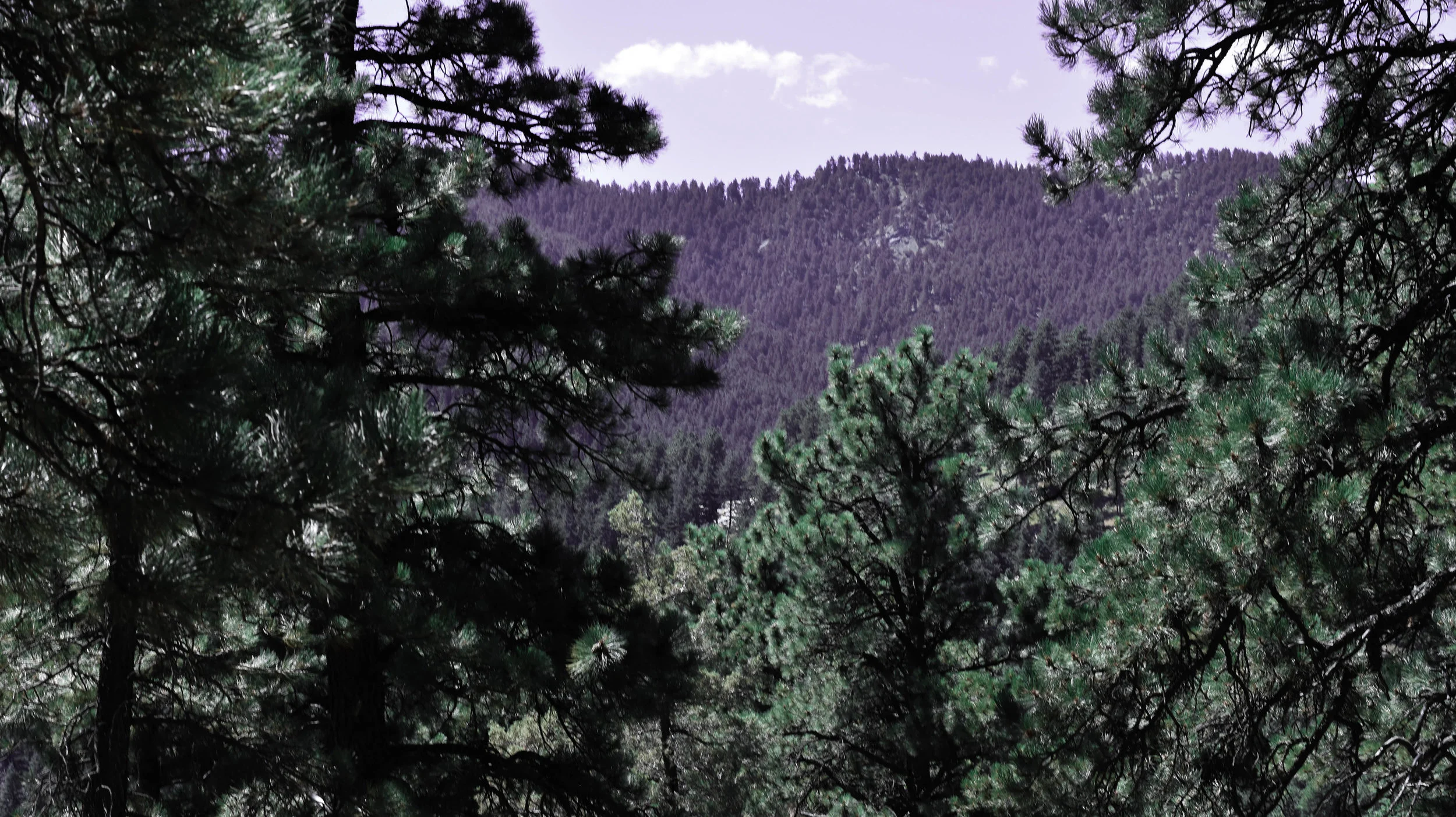 DSC_0221.jpg