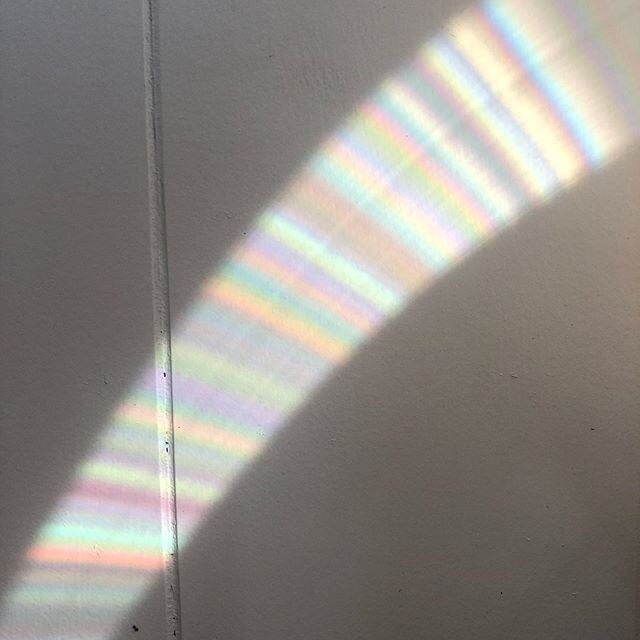 This is soo spectacular - the visible light spectrum refracted by my bicycle wheel from the sun 🌈💛 I had the pleasure of recording a podcast with @revital_health today talking about cannabis and the future of medicine that has me feeling buzzed abo