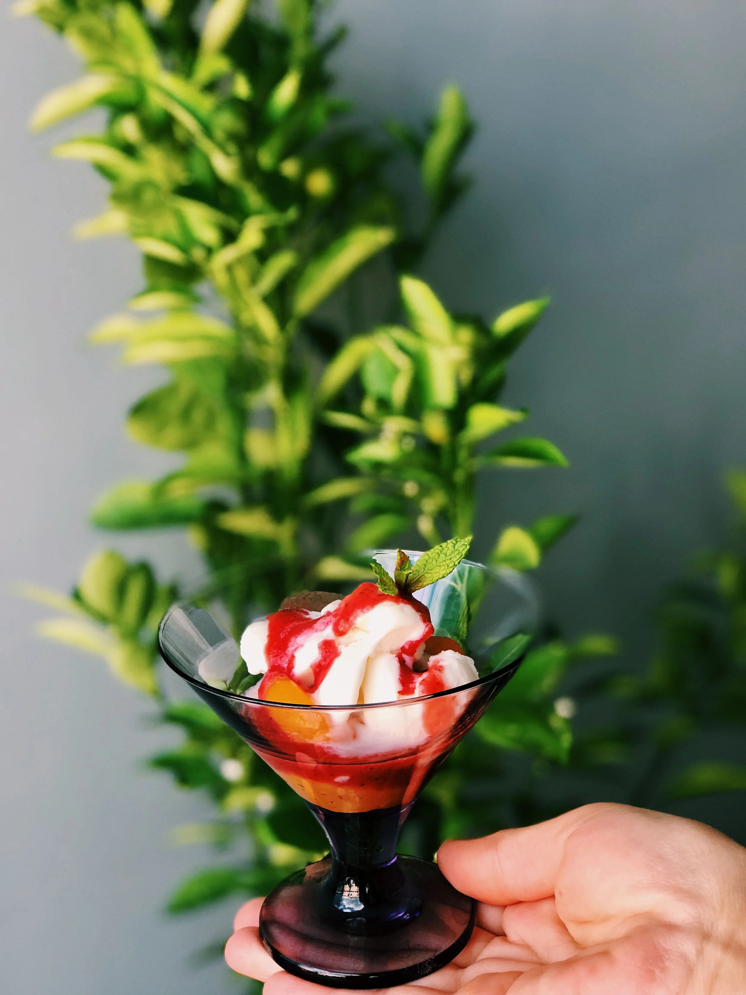 PEACH MELBA ya da Peşmelba Tatlısı