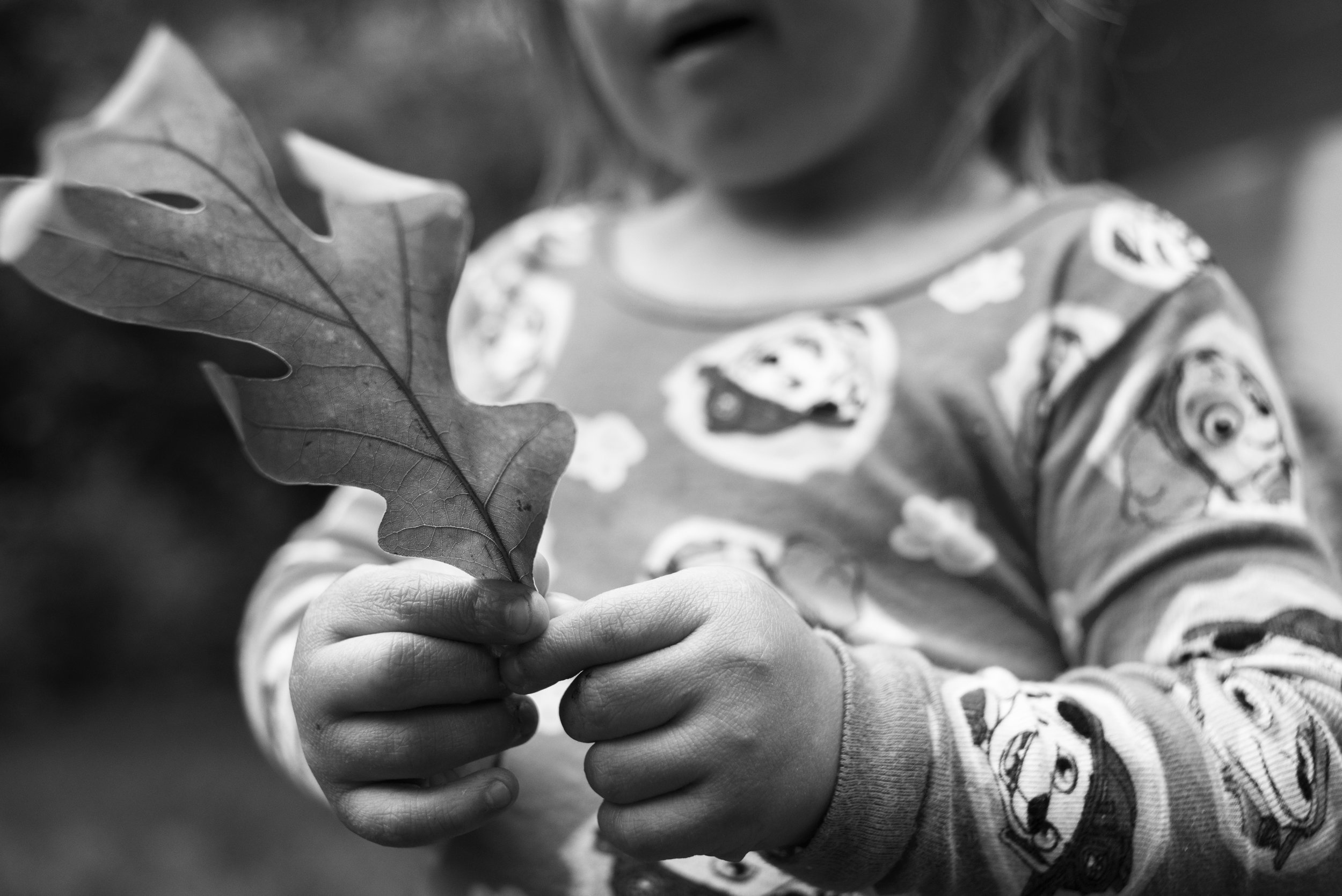 e-leafBW.jpg