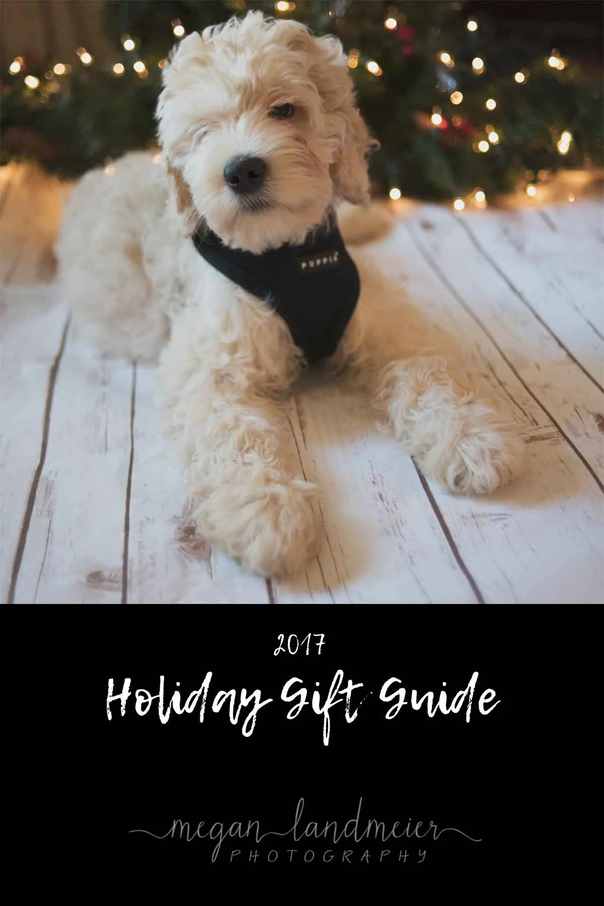 2017 Holiday Gift Guide