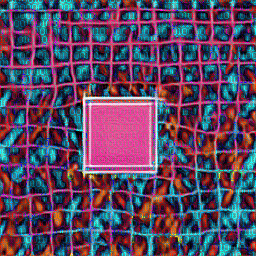 decoherence_256_120.gif