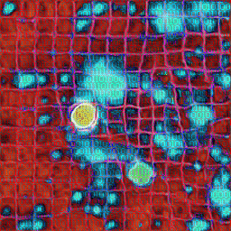 decoherence_256_159.gif