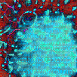 decoherence_256_195.gif