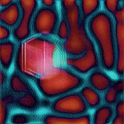 decoherence_256_241.gif