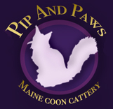 Pip And Paws