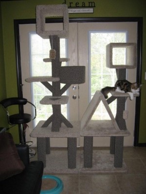 Custom cat trees made for PipandPaws