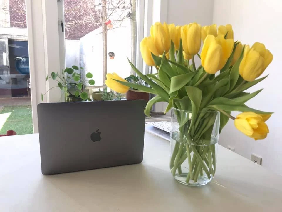 Een paar weetjes over mij