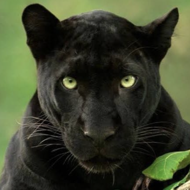 Image 02-10-2025 at 10.53.png