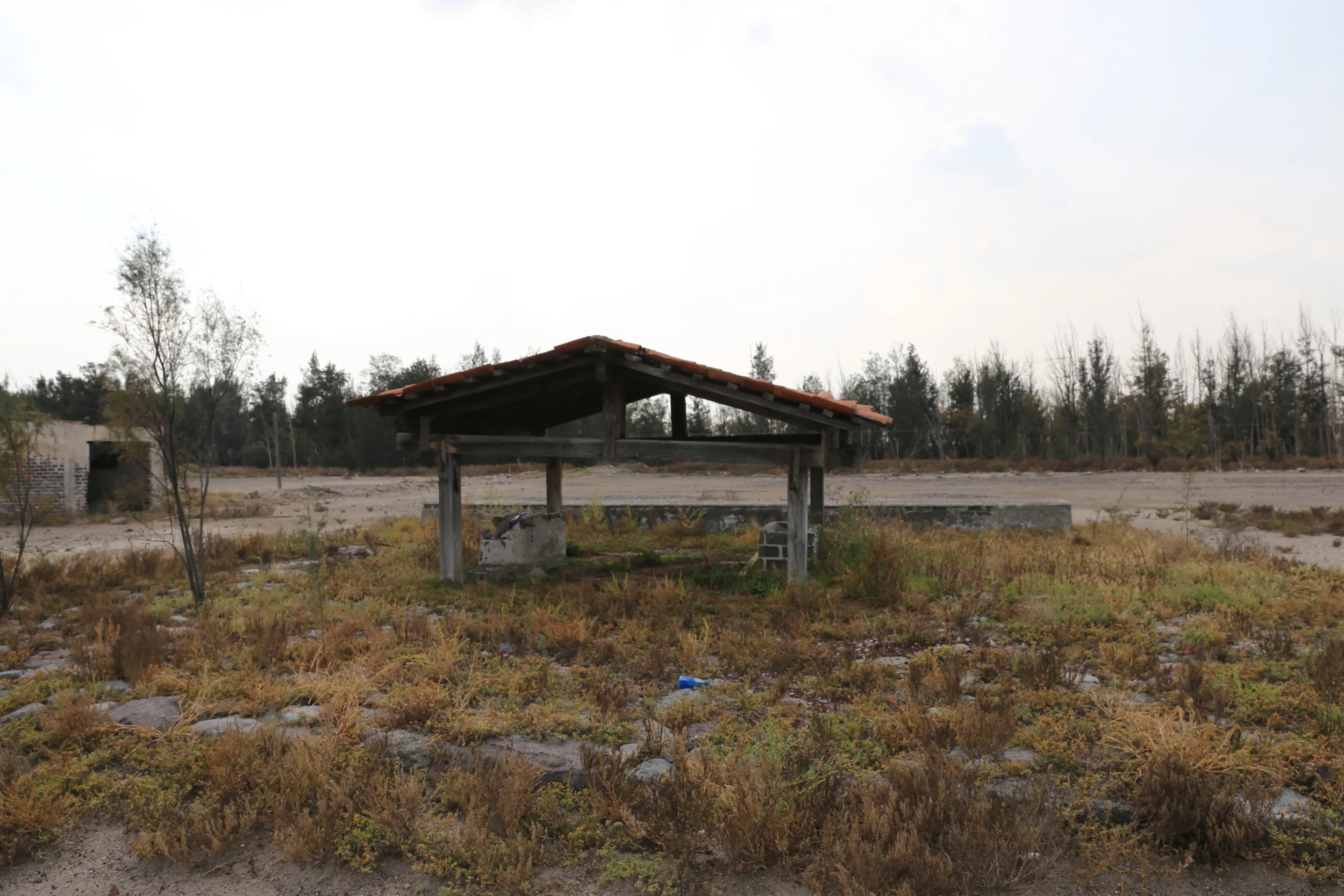 AEROPUERTO venados 3.JPG