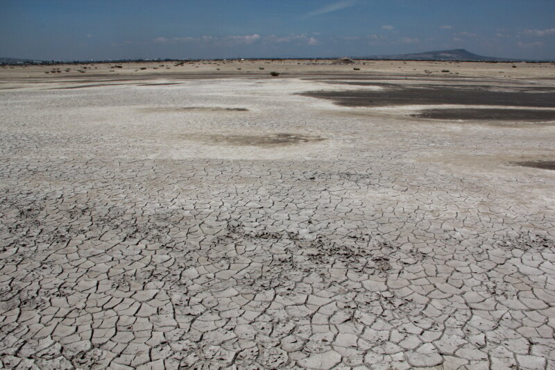 TEXCOCO NORTE suelo salino.JPG