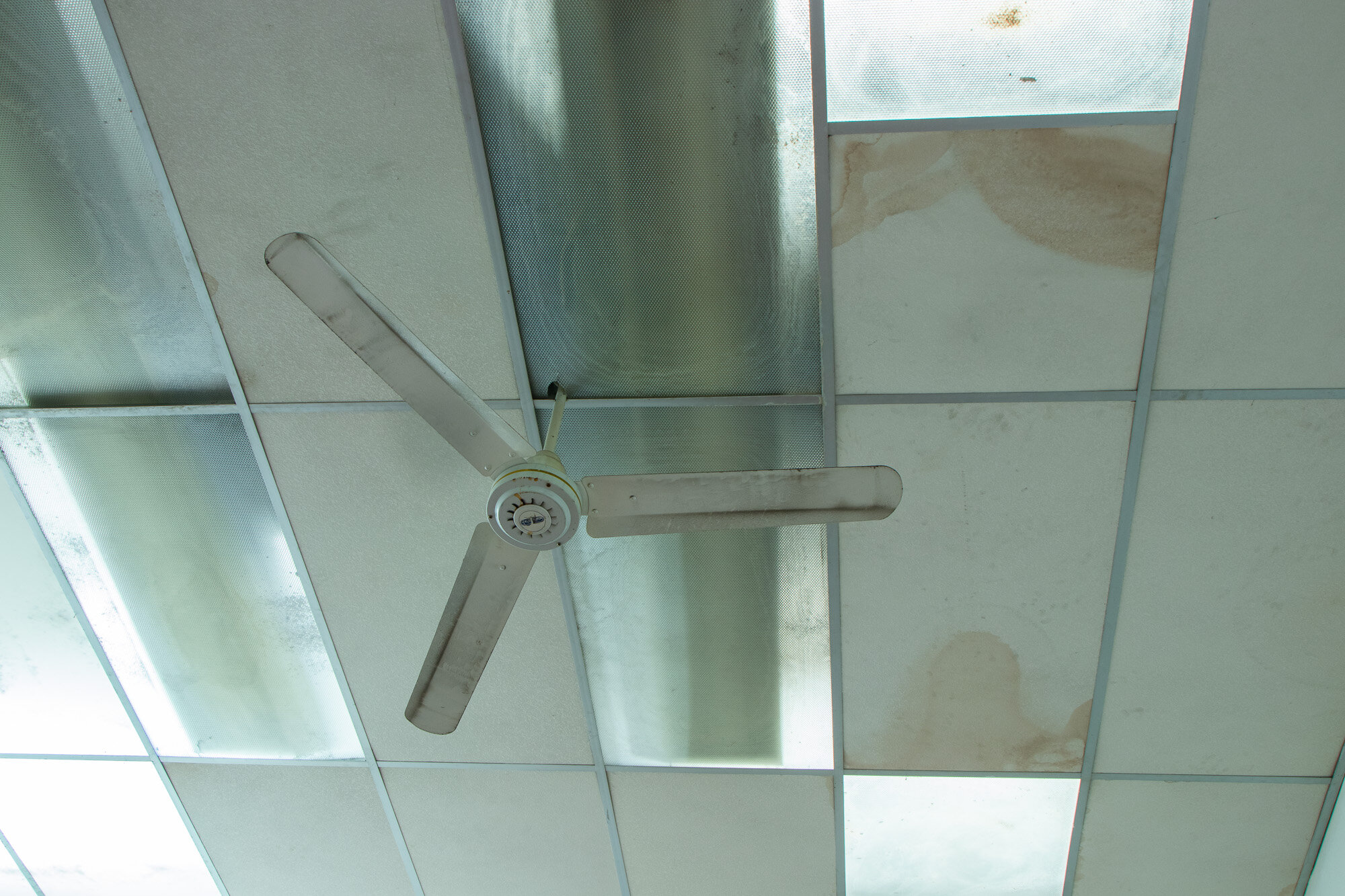 Drop ceiling section with fan