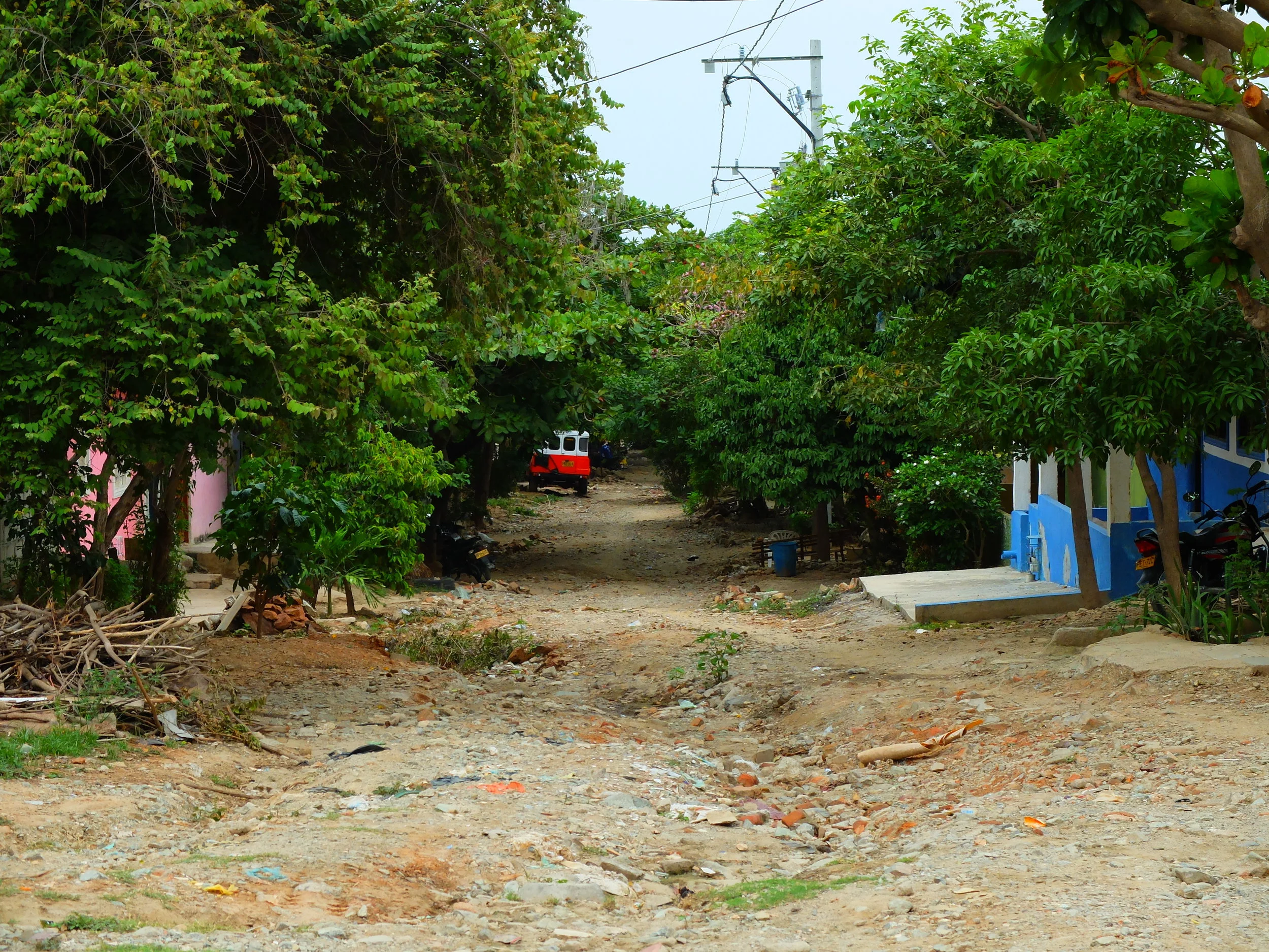 DSCF1372.jpg