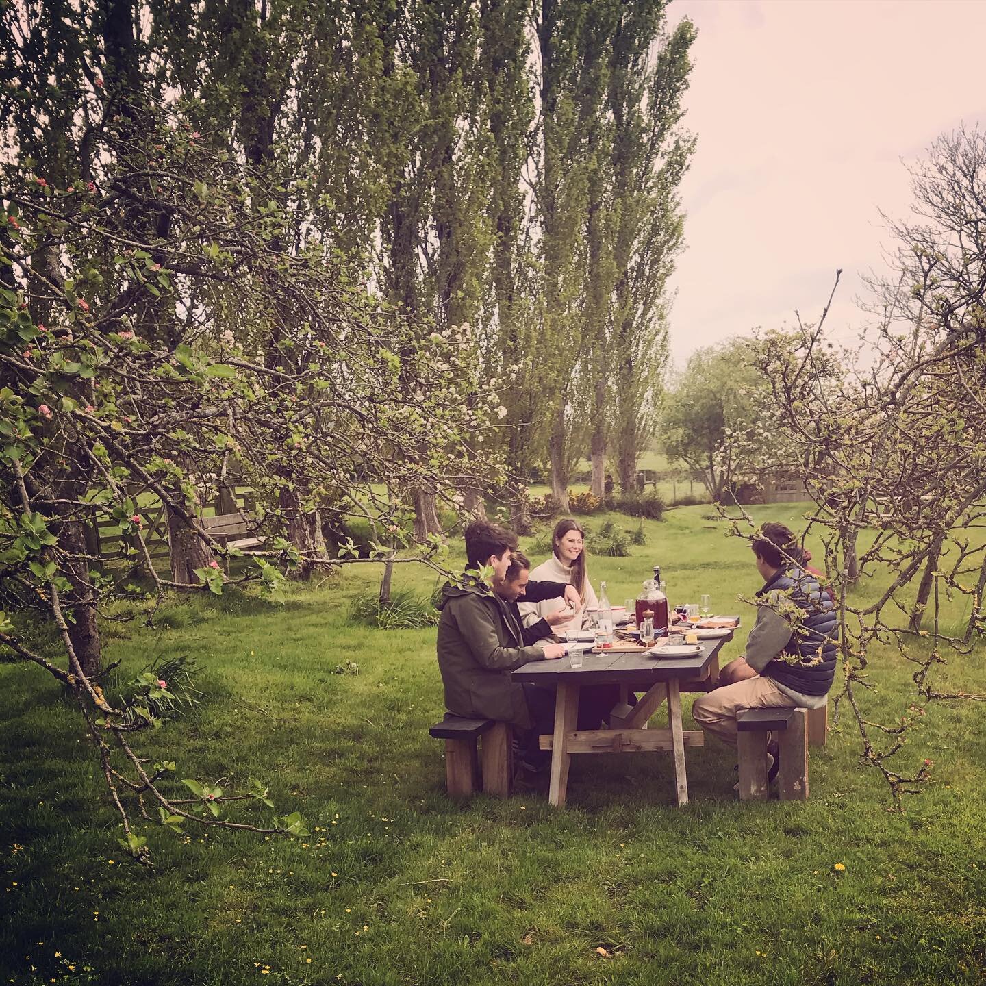 JOIN US FOR A TOUR, TASTING &amp; LUNCH WITH @wildwineclub ON 29th MAY! Try one off bottles from the archive, new releases, &amp; learn how we make our champagne method, pet nat and keeved ciders. Enjoy lunch sourced straight from local farms in the 