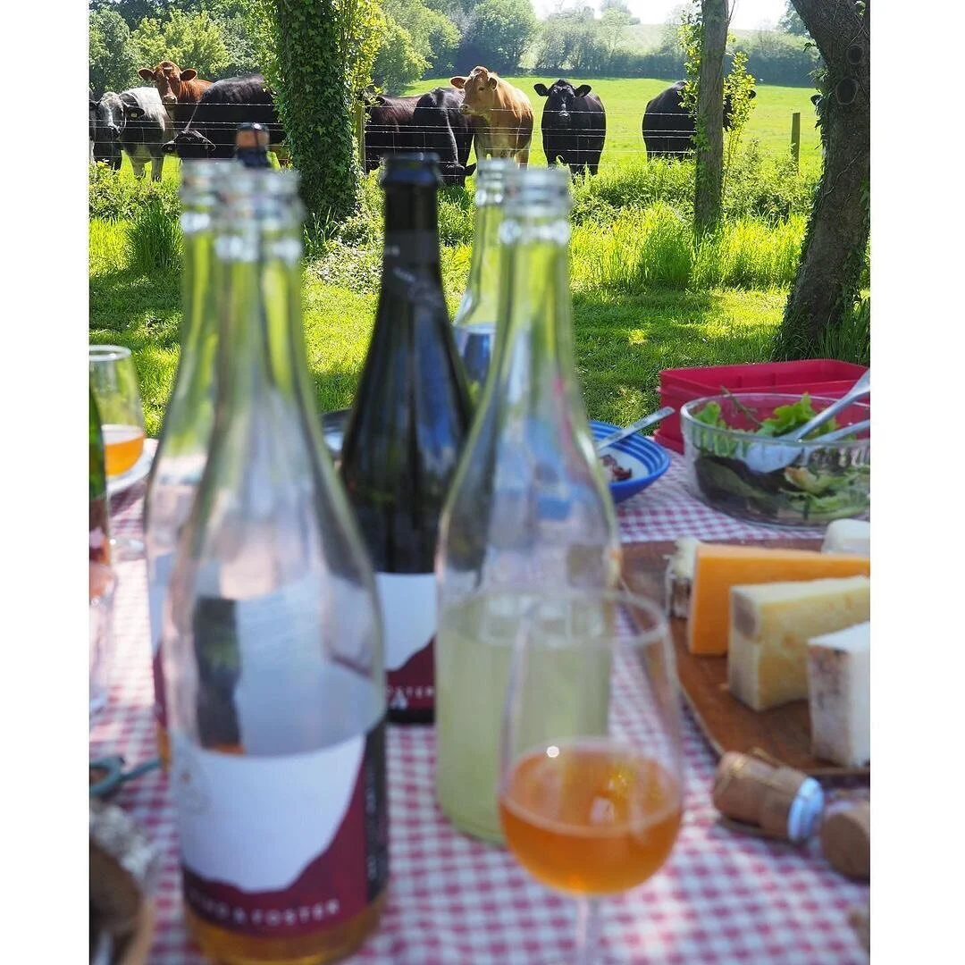 Repost&bull; @honeyspencer_ The cider love affair continues. Extracts from a perfect weekend with @findcider @doggandbeaune @almcnair_ @ania__sm @wild_wine_woman 🧡 #drinkcider @fine_cider