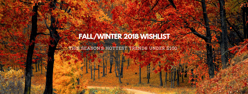 Fall%2FWinter Banner.png
