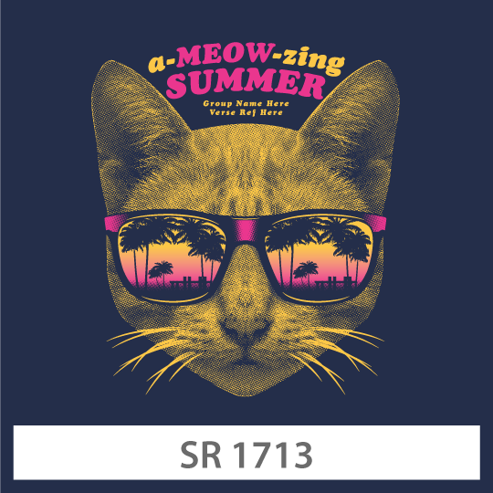 SR-1713a.png