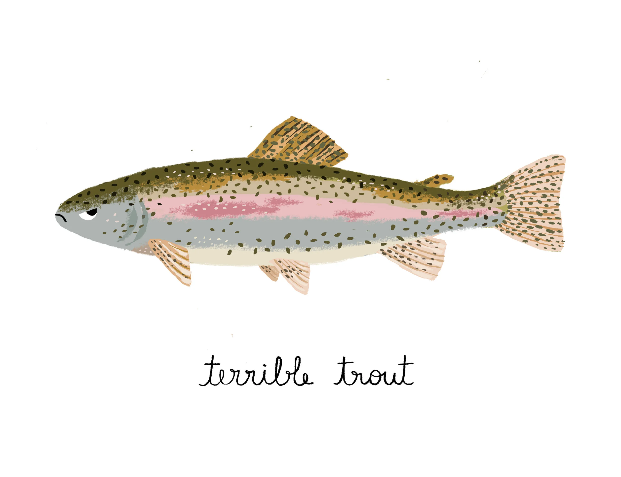 terrible trout.jpg