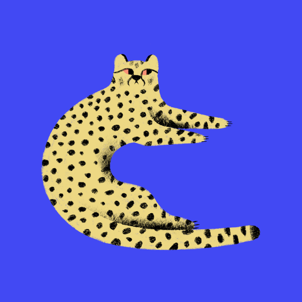 cforcheetah.PNG