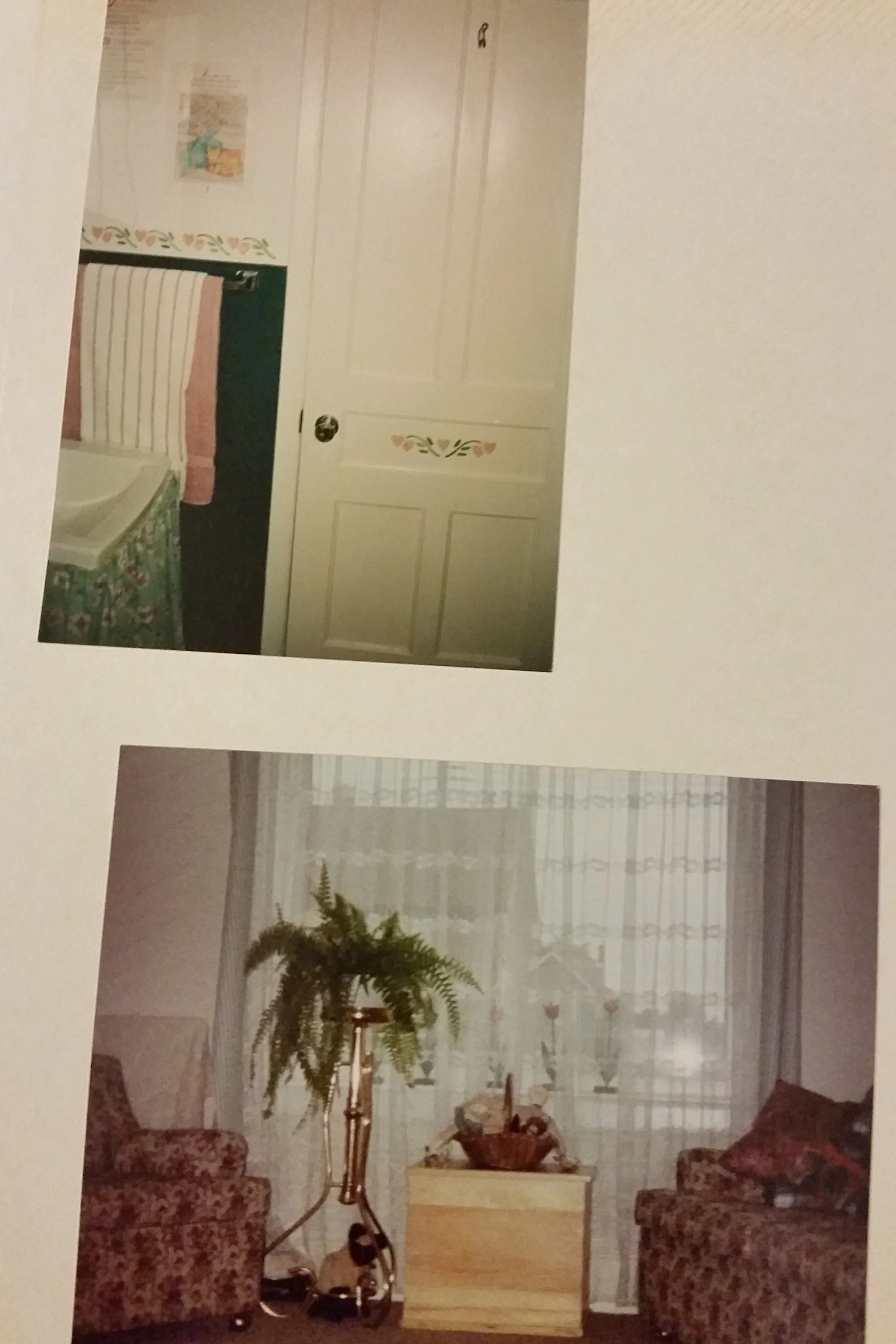 Stenciled bathroom and my large front window