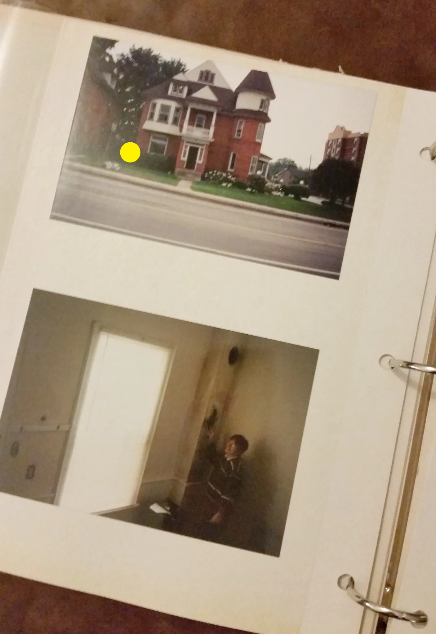 1992 - Barrie, On * My First Nest *