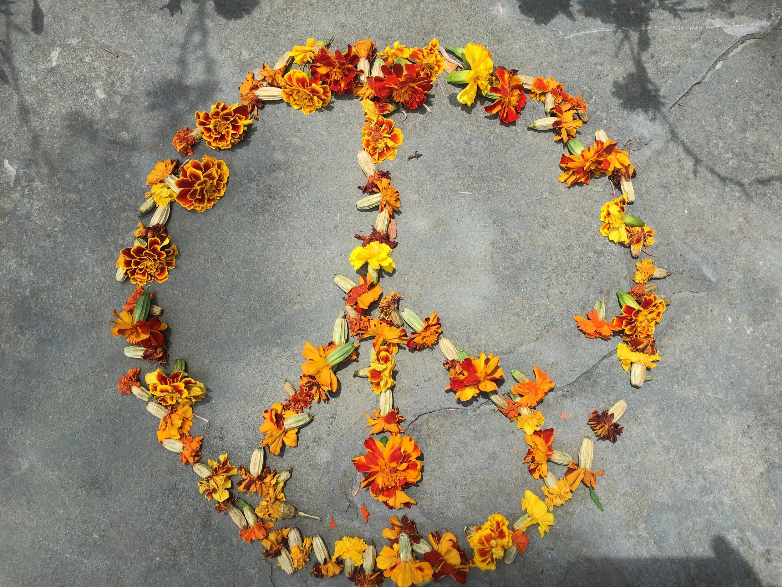 woodstock.jpg