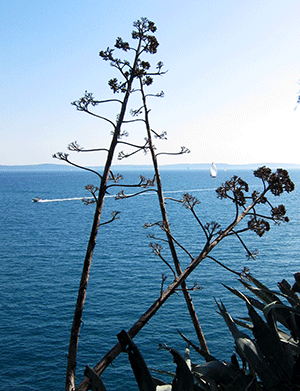 first encounters with croatia – exploring split