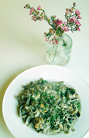 mushroom and mustard pizzocheri