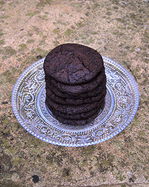 roasted cocoa cookies