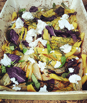 ziti with roasted fennel, lemon and basil