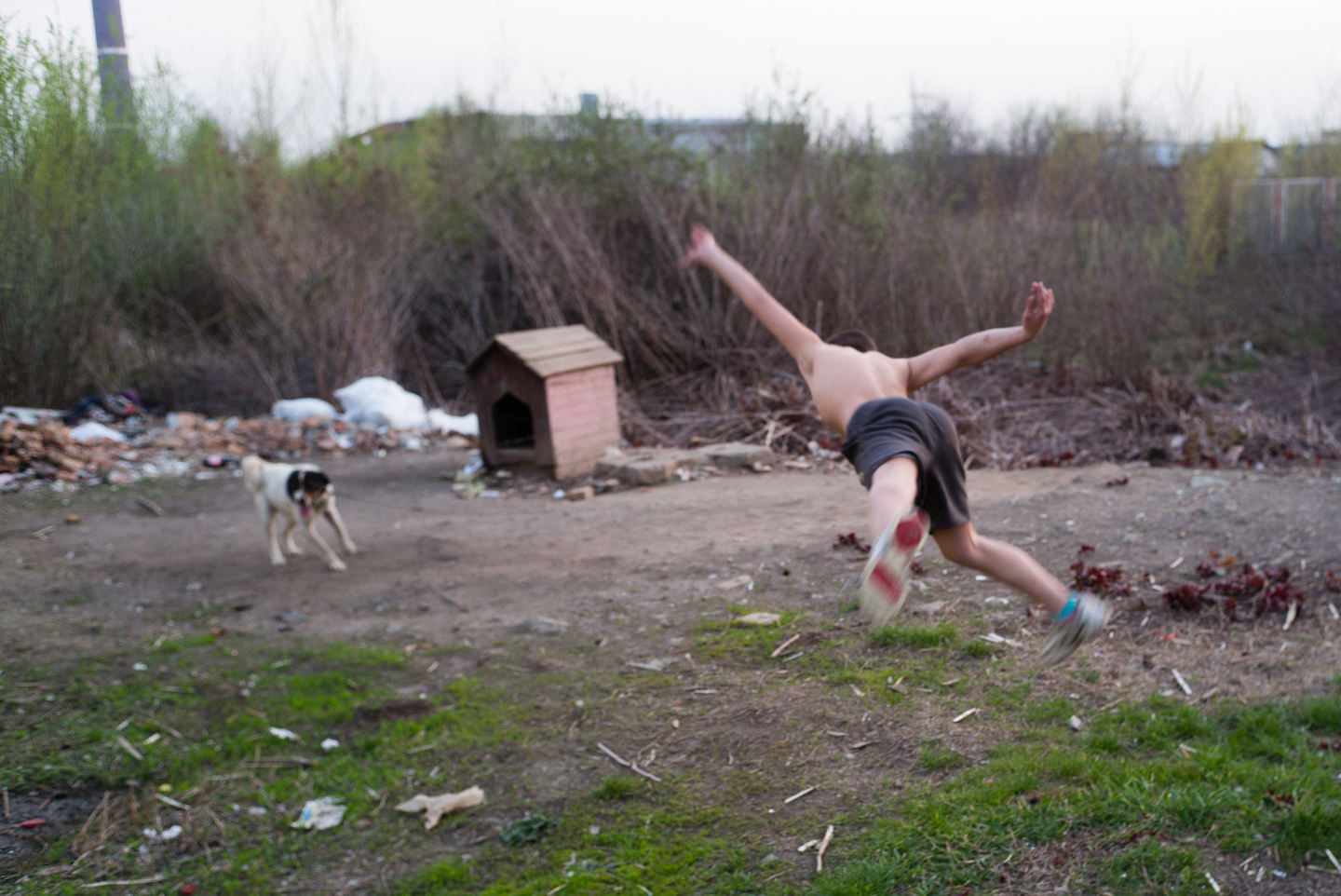  Roma boy, Baia Mare, Romania 