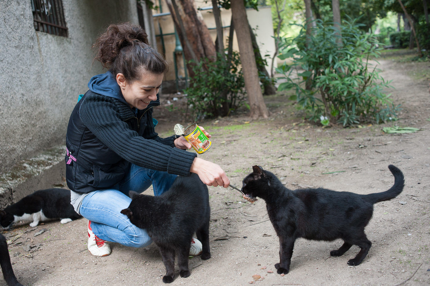  A volunteer for Nine Lives Greece, an animal welfare organization, feeds stray cats. 