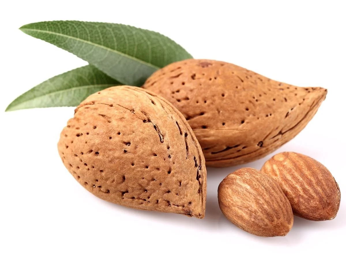 almonds.jpg
