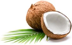 coconut.jpg