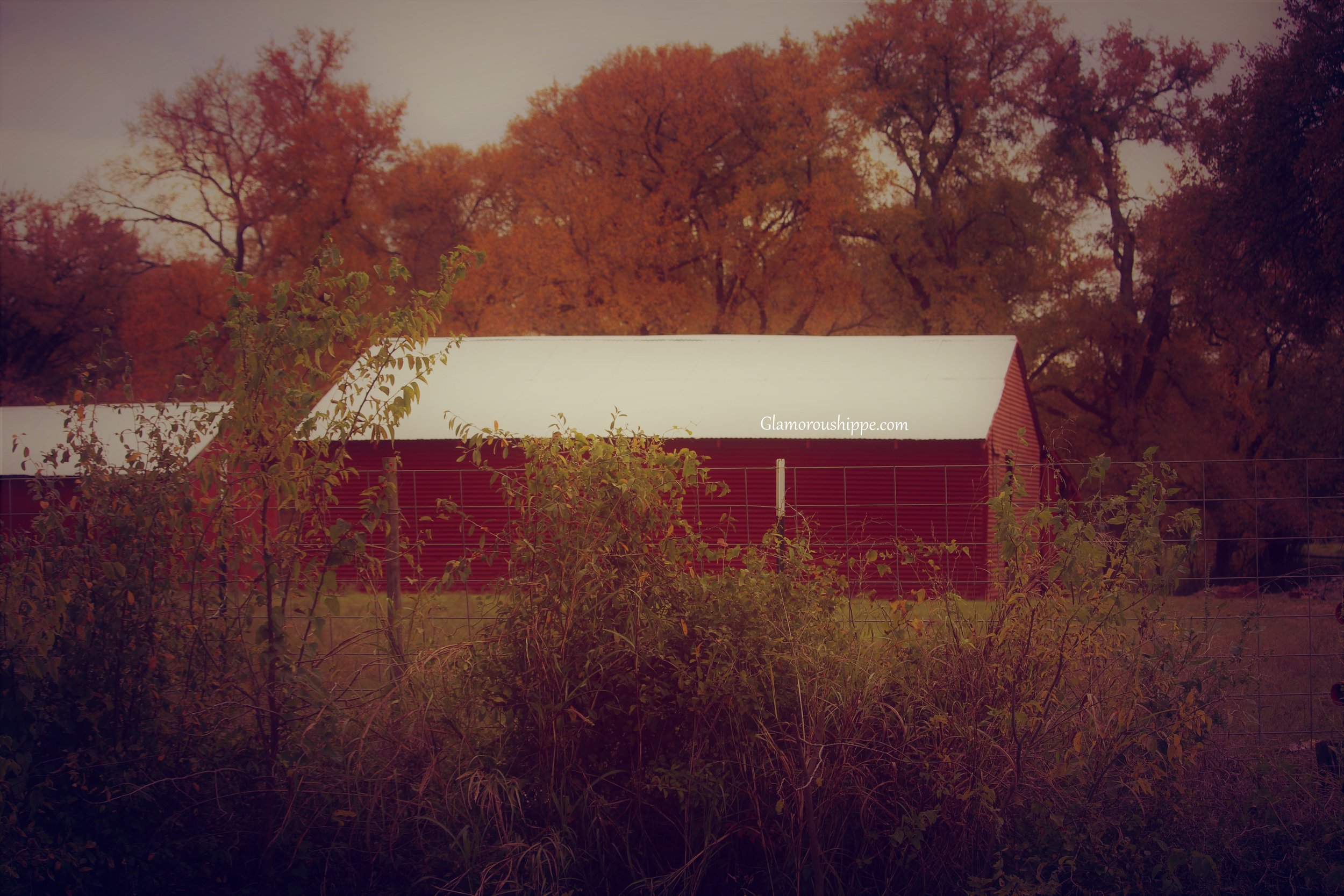 red barn with gh brand.jpg