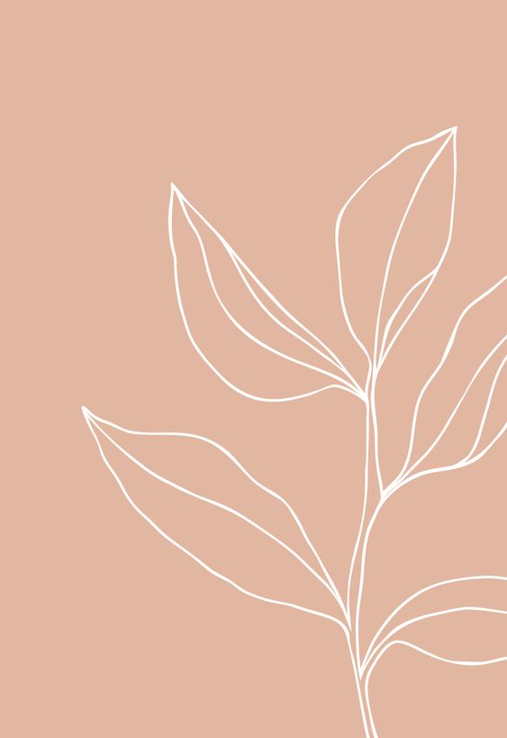 sketched leaf on pink background.jpg