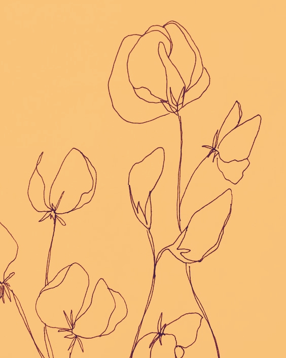 sketch flowers in peach.jpg
