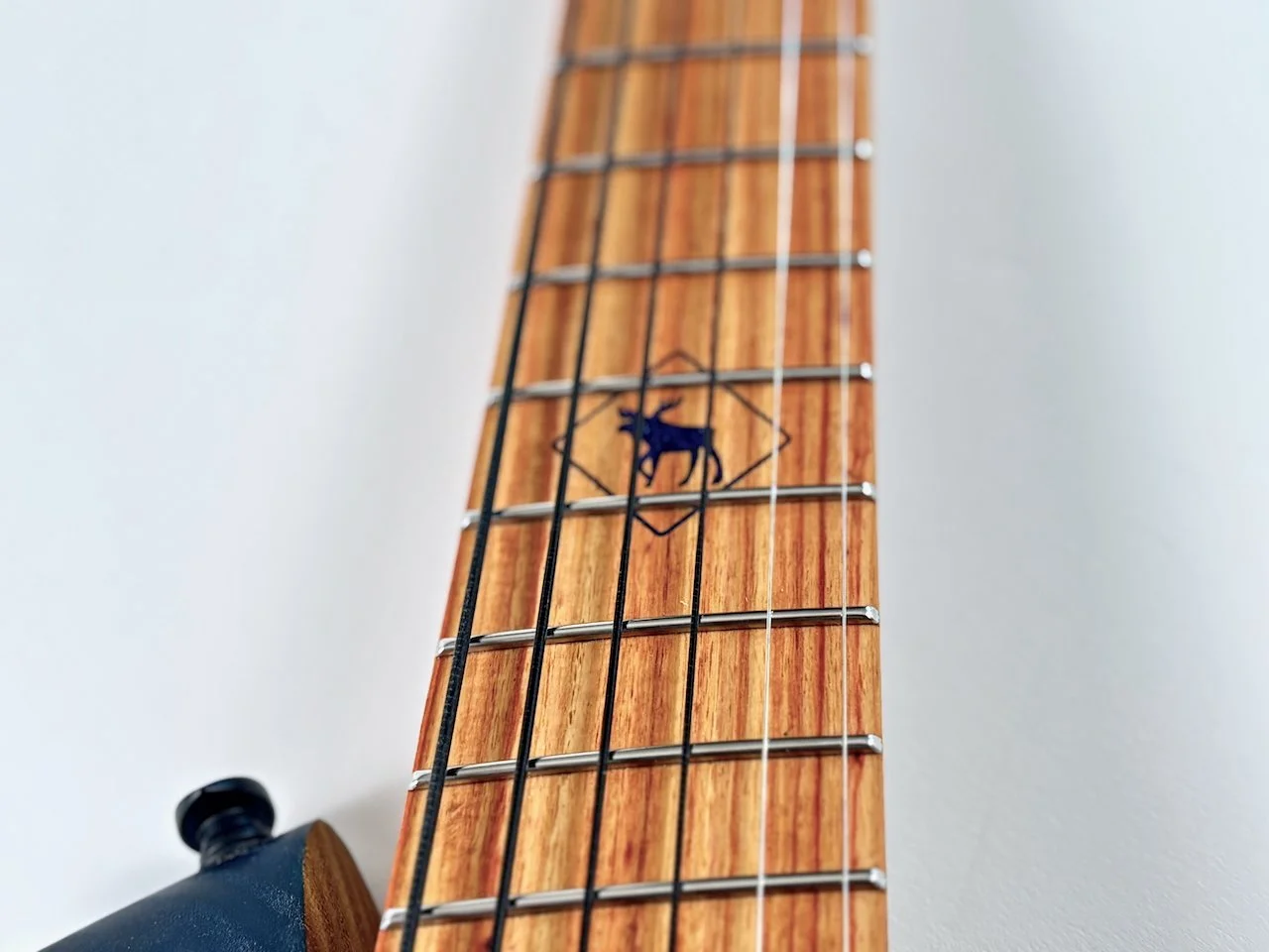 Moose - 9 of 12.jpeg