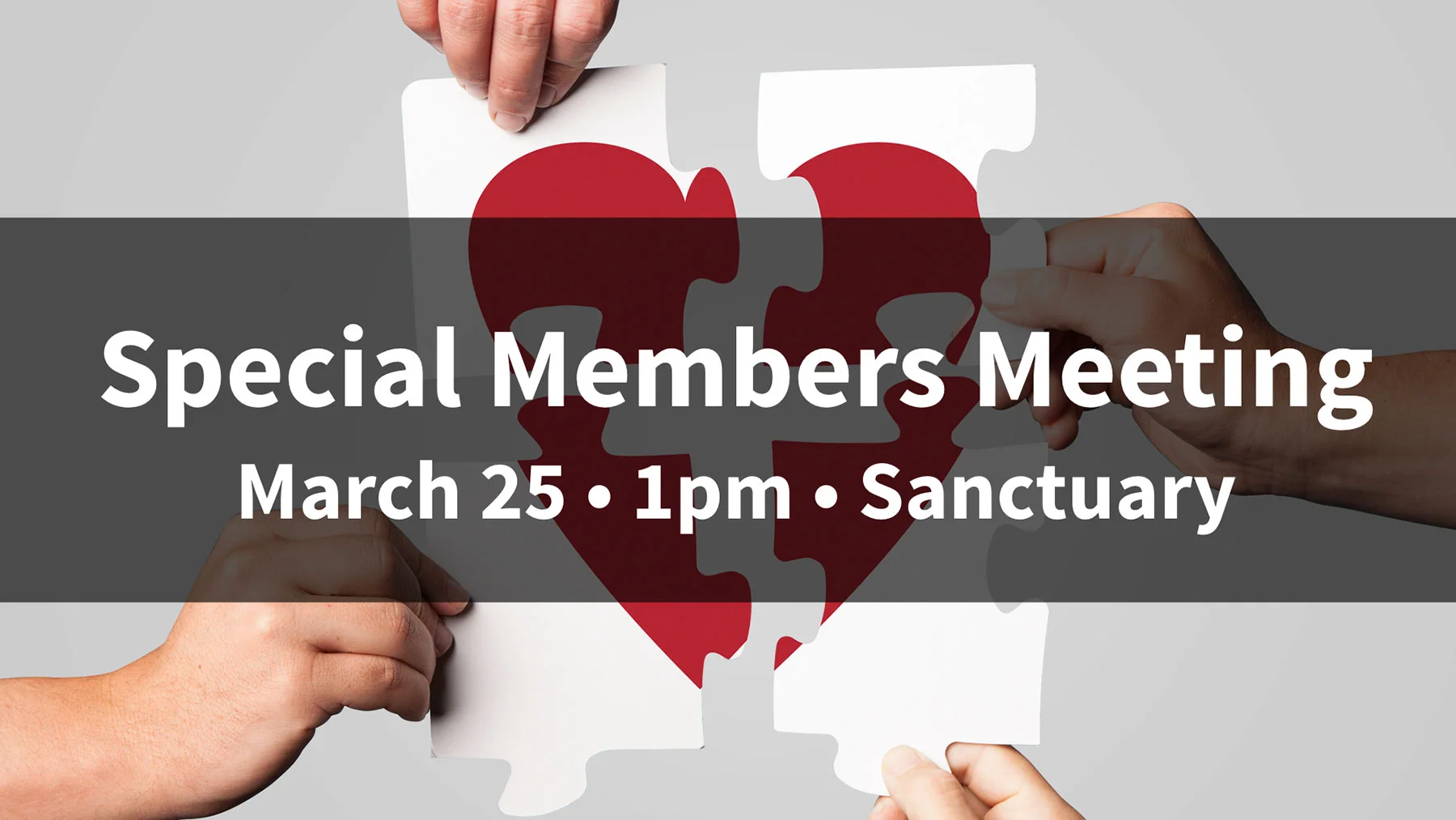 Special Members' Meeting 3.25.jpg