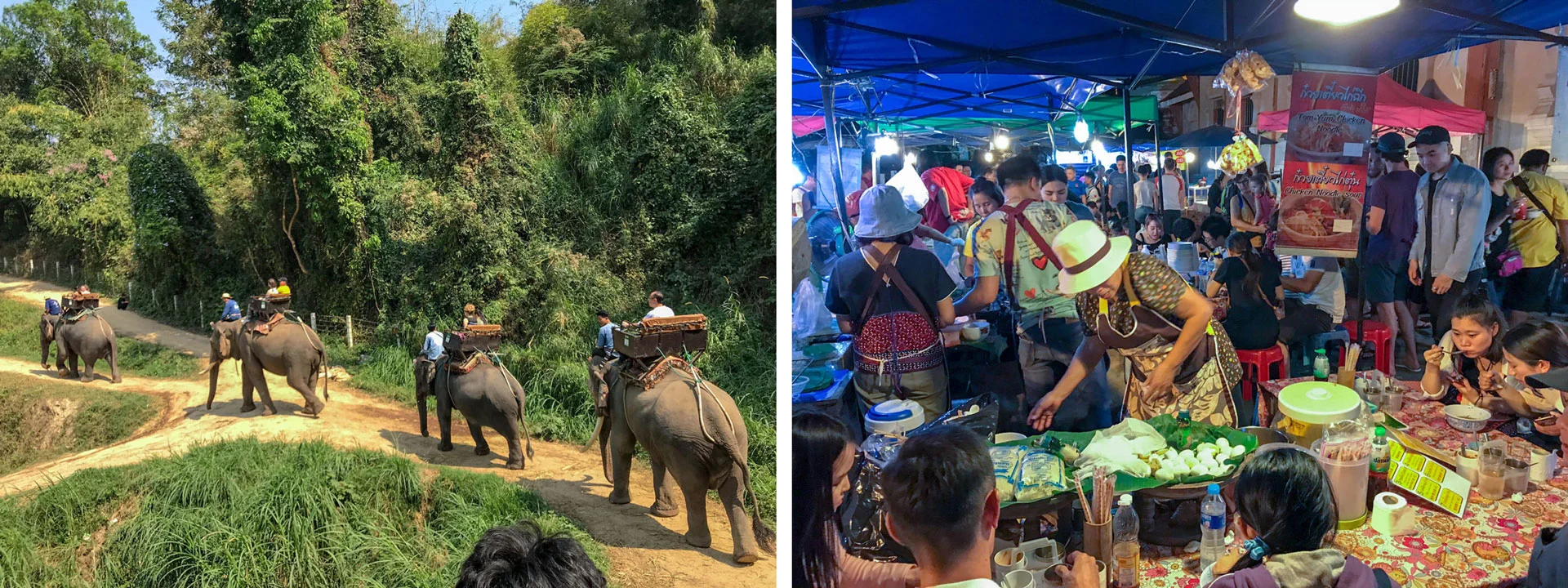 Elephant-and-Night-Market.jpg