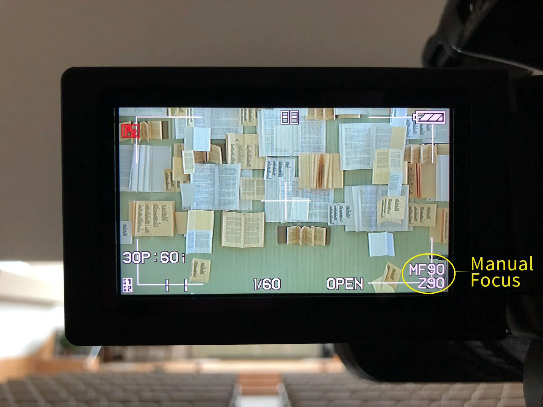 Manual focus indicator.