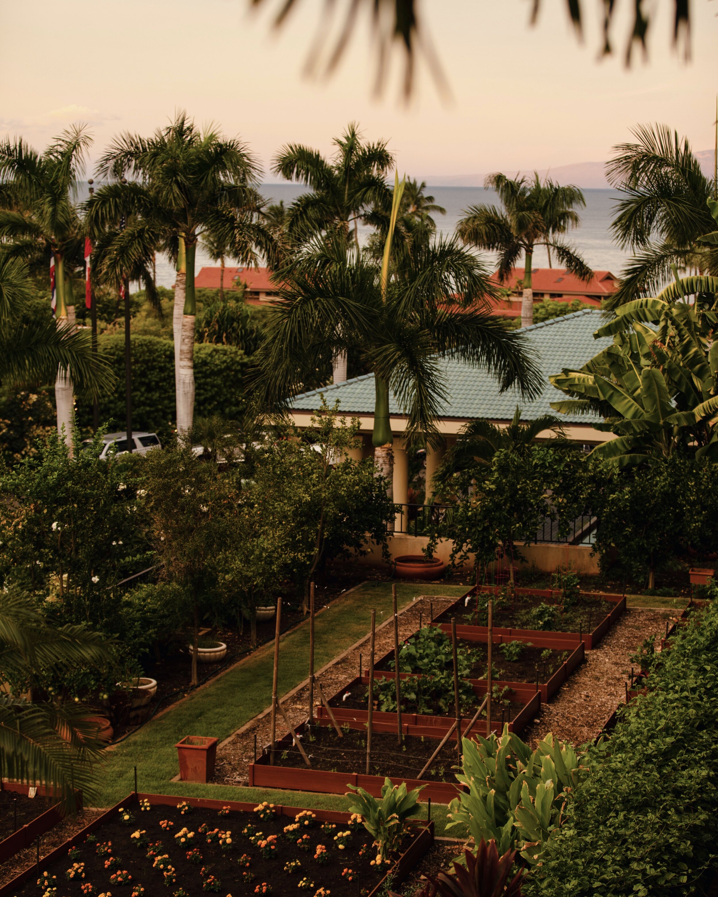 The-Creative-Gentleman-Four-Seasons-Resort-Maui-Wailea.jpg