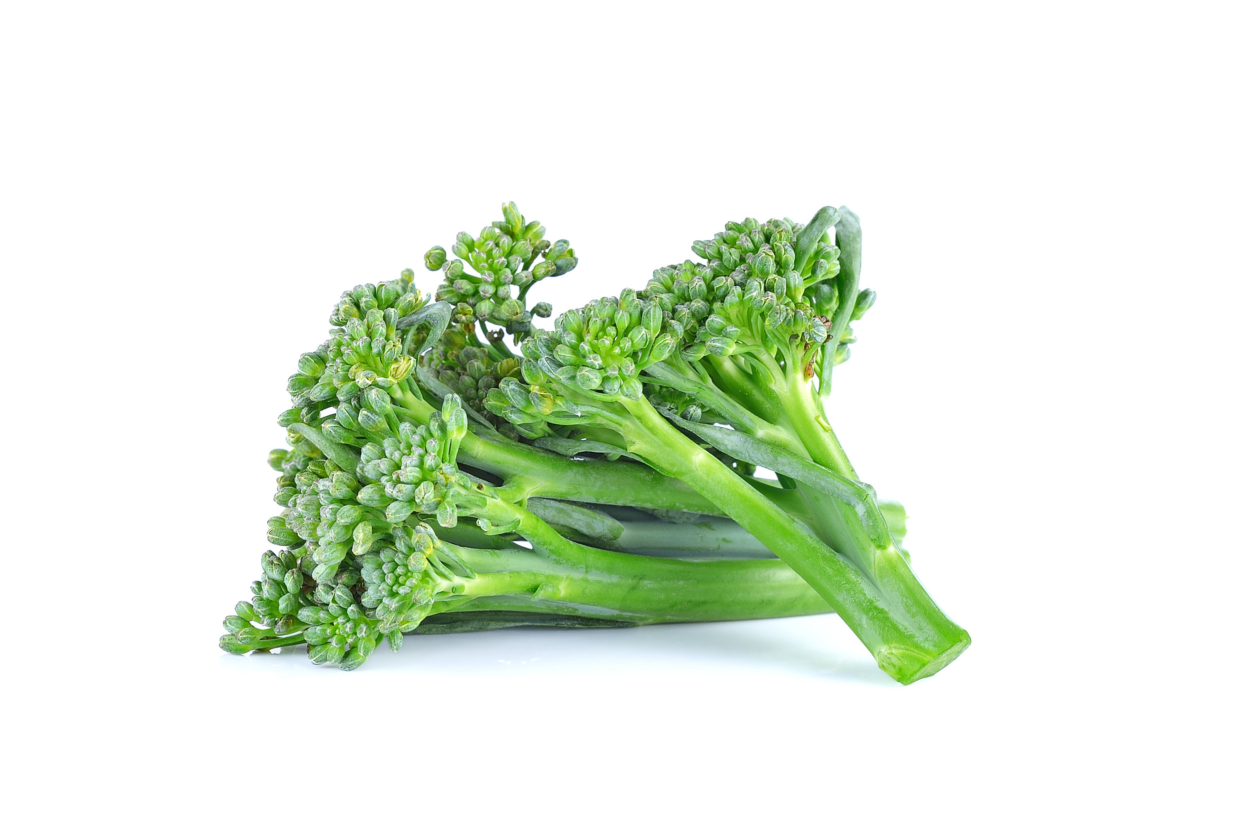 AdobeStock_98212811.jpeg