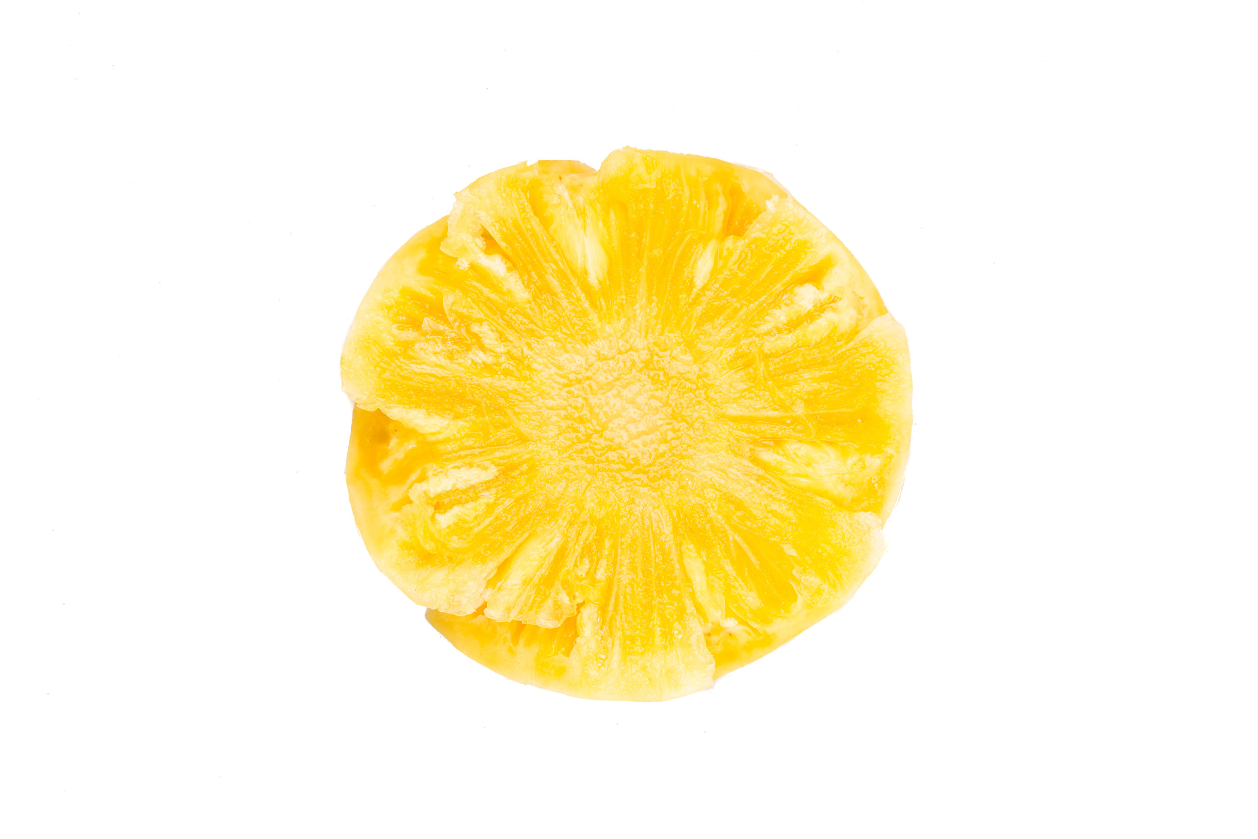 AdobeStock_91718960.jpeg
