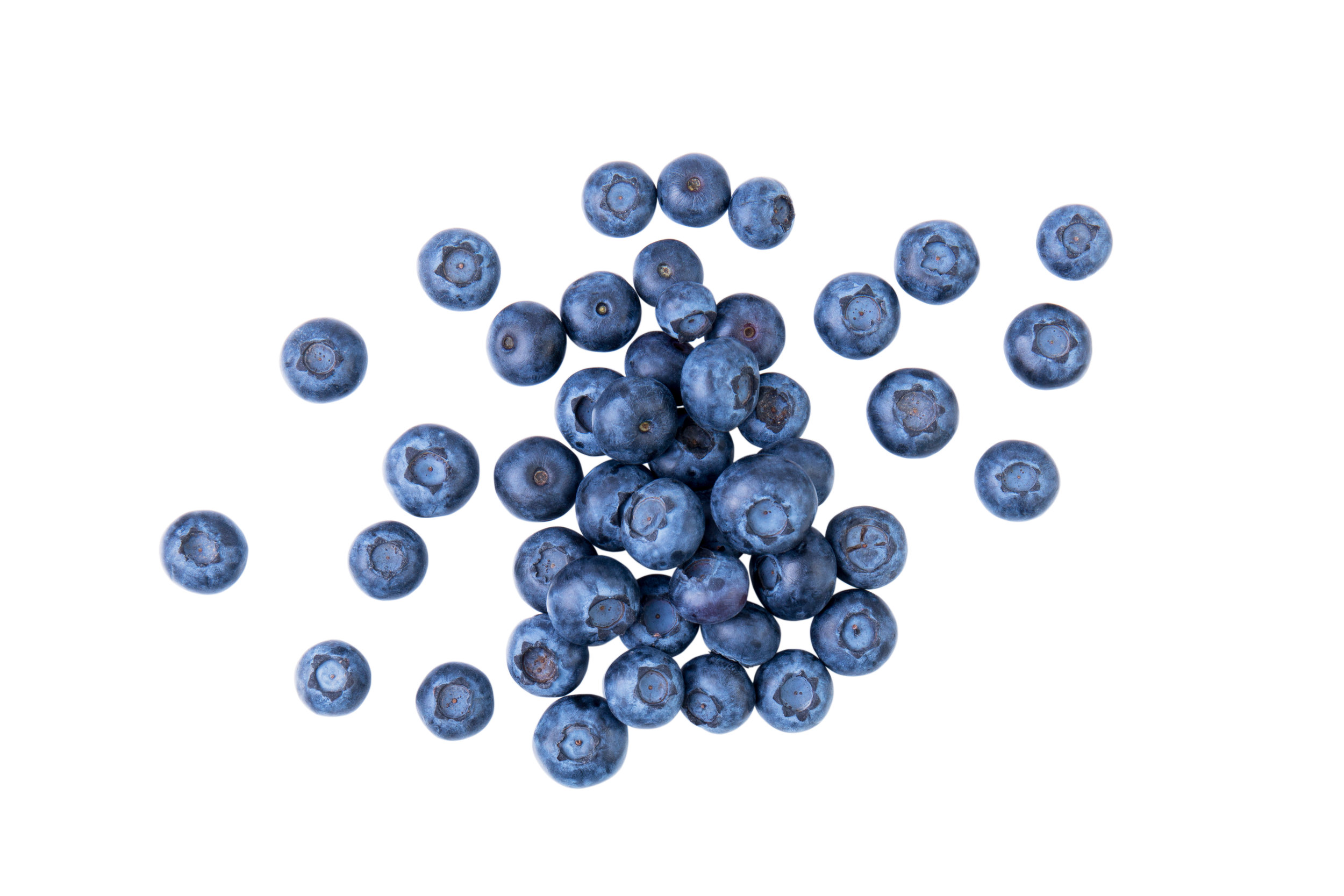 AdobeStock_204122355.jpeg